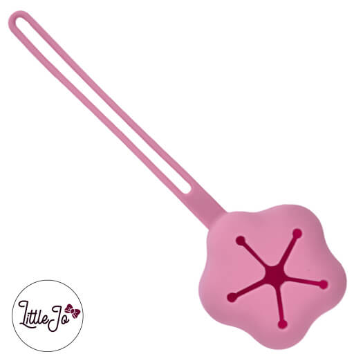 Porte-tétine en silicone Boîte de rangement pour tétines Sans BPA Cadeau de maternité Sans BPA Framboise