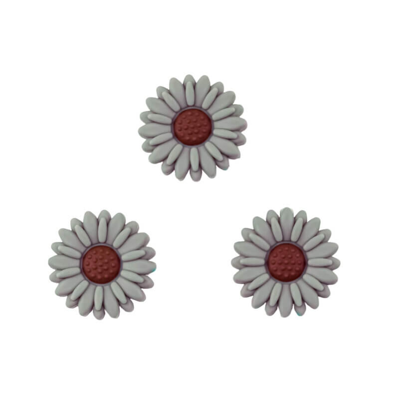 Gänseblümchen Ozean
