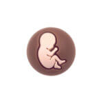 Silikonperlen Babybauch Brownie 21 mm Großhandel bpa frei