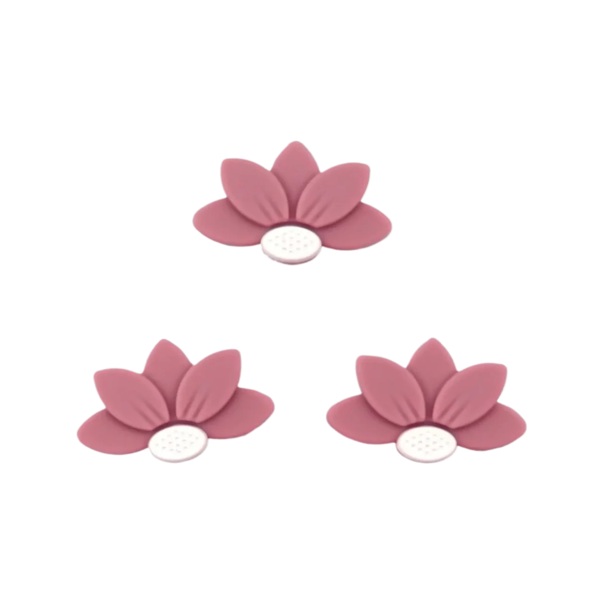 framboos halve daisy