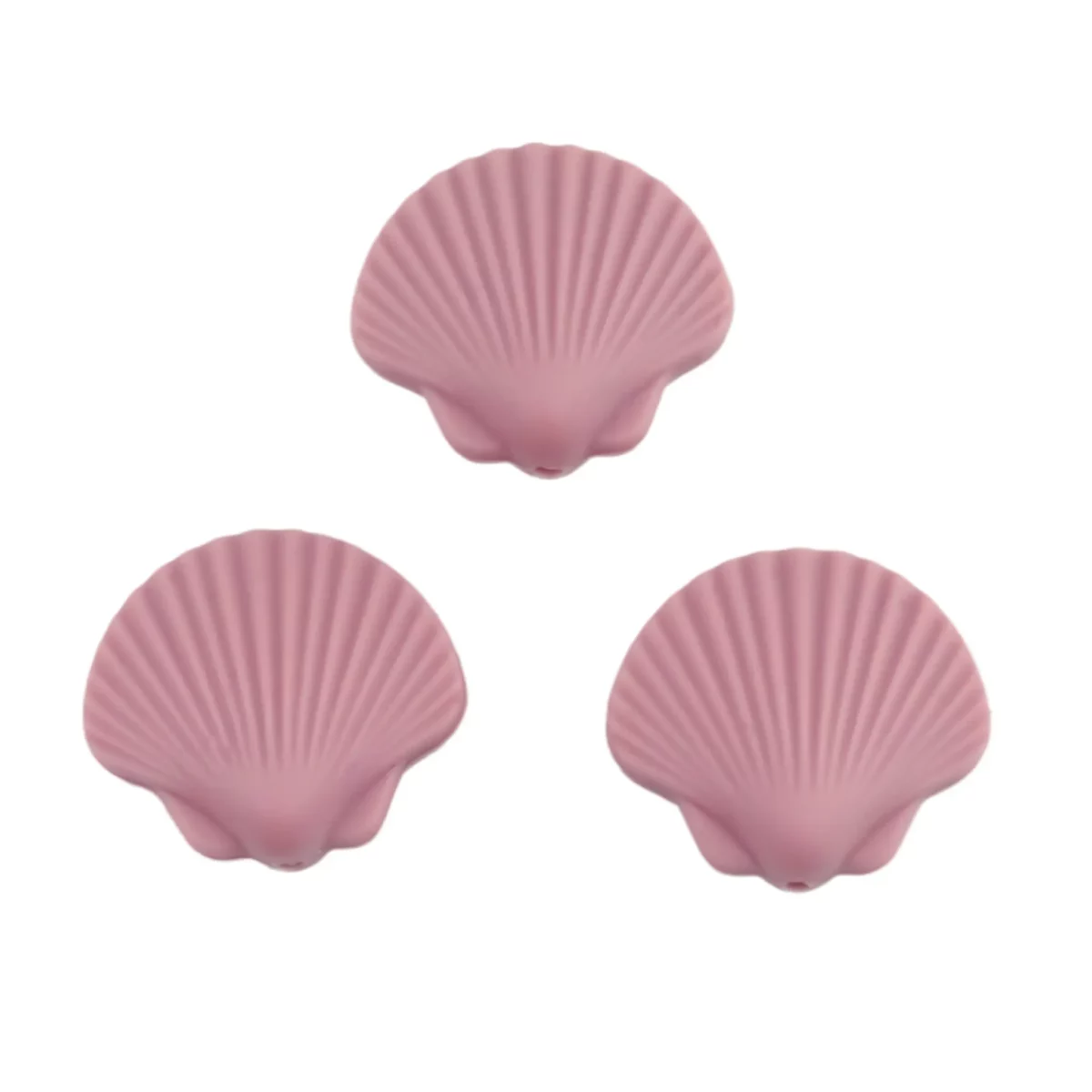 Schelp - Rose