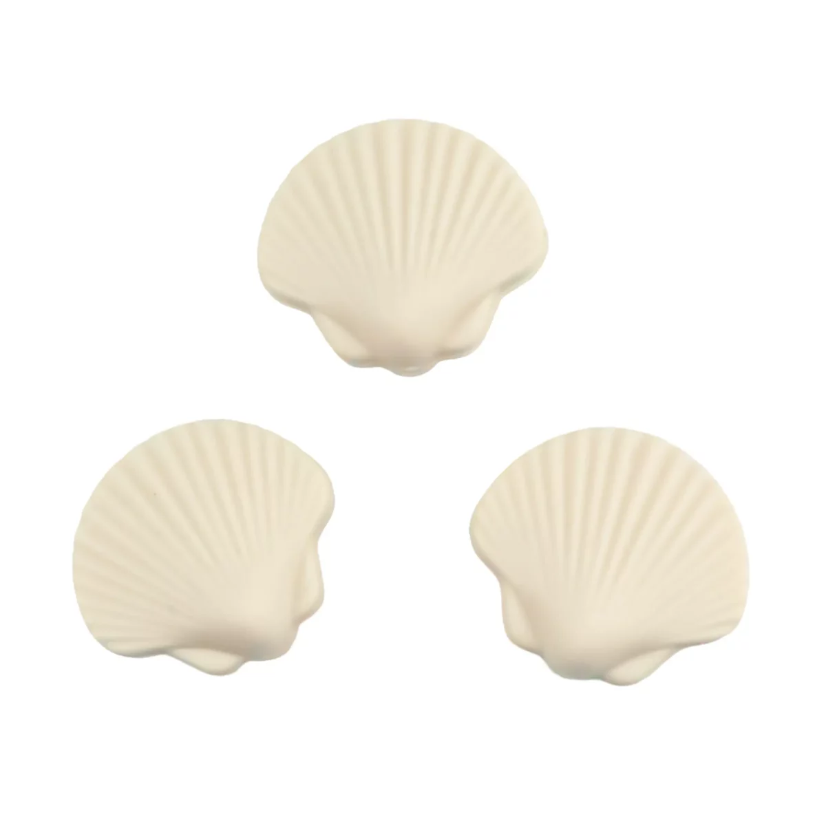Schelp - Ivory