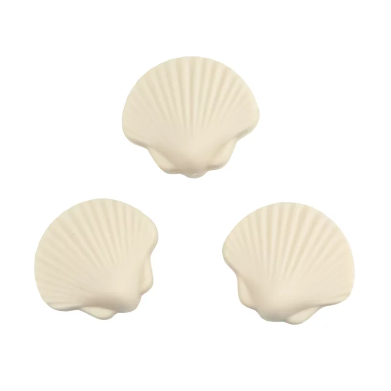 Schelp - Ivory