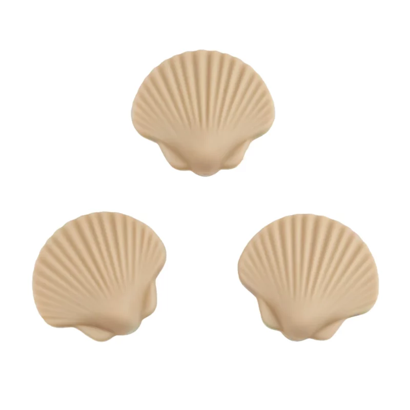 Schelp - Zand
